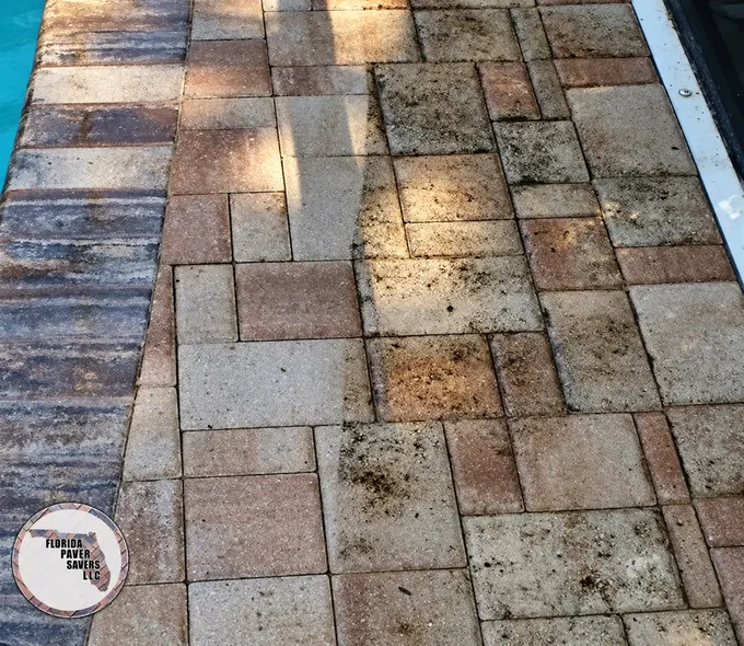 Close-up of multicolor pavers beside a contrasting border